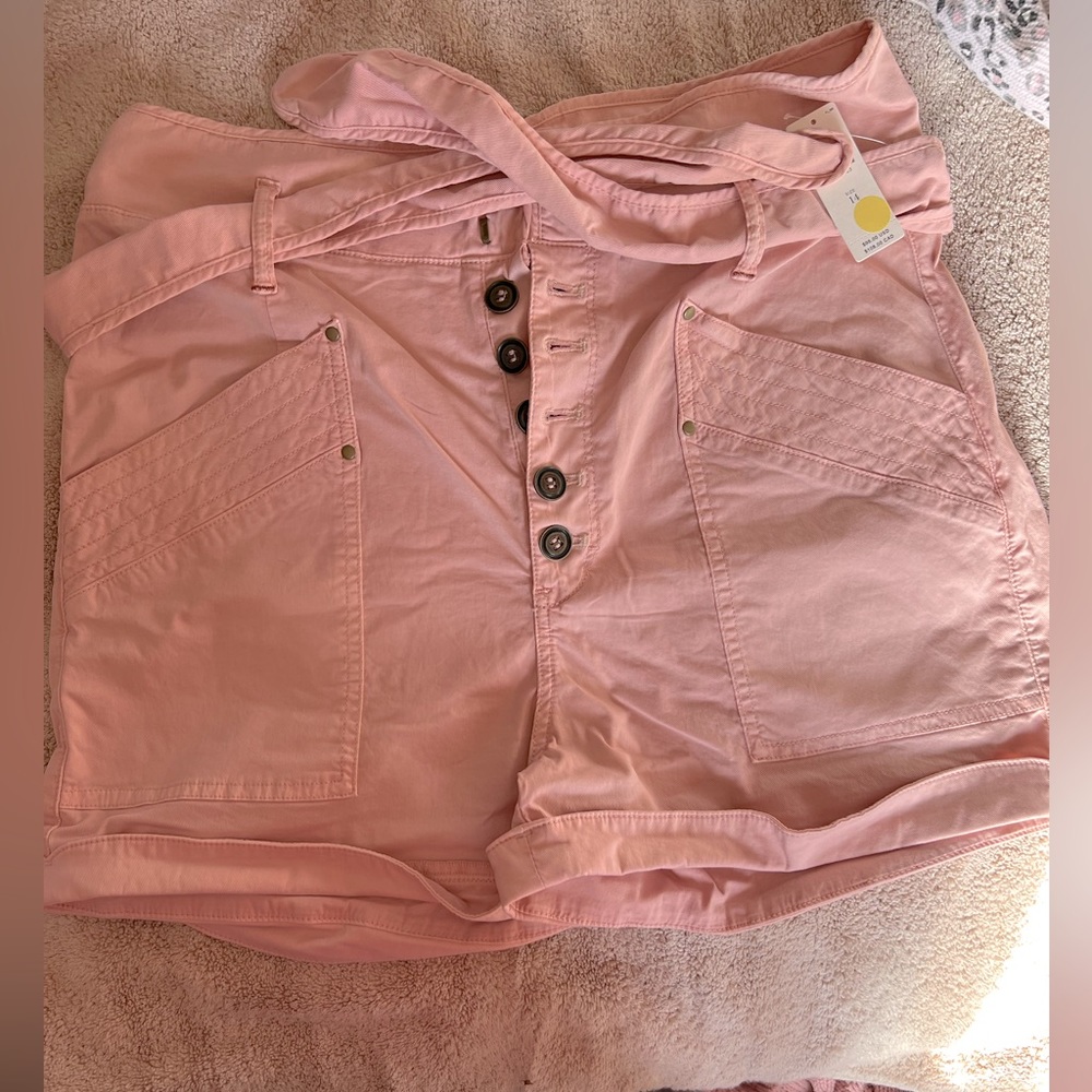 NWT Anthropologie rose pink shorts size 14